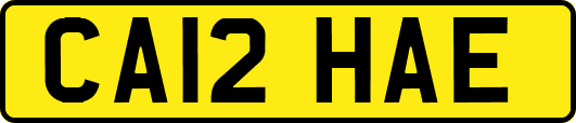 CA12HAE
