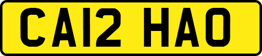CA12HAO