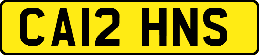 CA12HNS