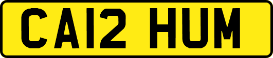 CA12HUM