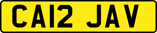 CA12JAV