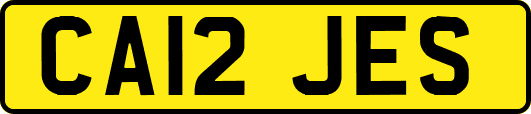 CA12JES