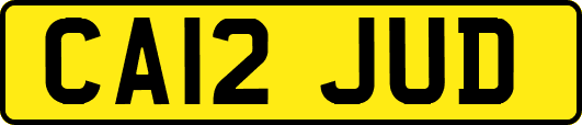 CA12JUD