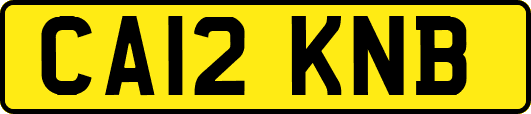 CA12KNB