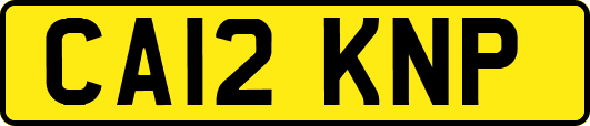 CA12KNP