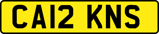 CA12KNS