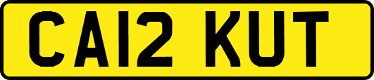 CA12KUT