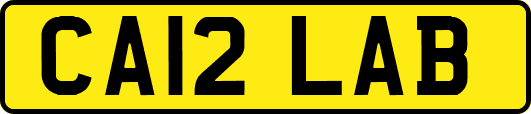 CA12LAB