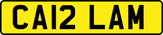 CA12LAM