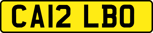 CA12LBO