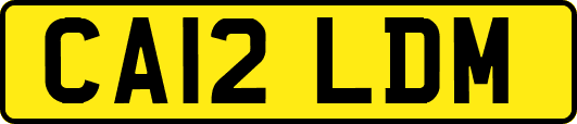 CA12LDM