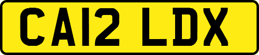 CA12LDX