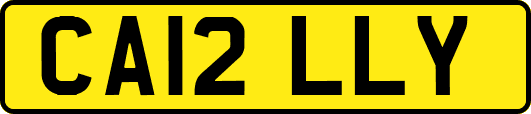 CA12LLY