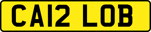 CA12LOB
