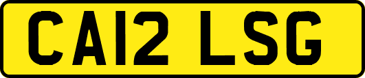 CA12LSG
