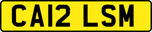 CA12LSM