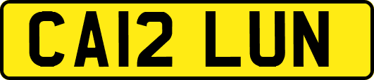 CA12LUN