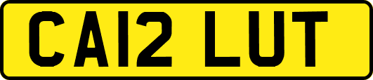CA12LUT