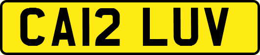 CA12LUV