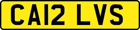 CA12LVS