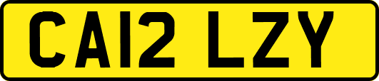 CA12LZY