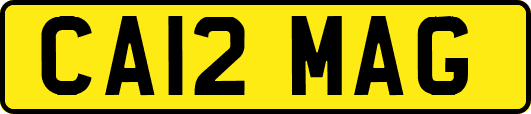CA12MAG