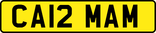 CA12MAM