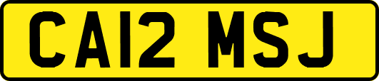 CA12MSJ