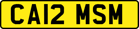 CA12MSM