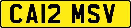 CA12MSV
