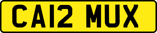 CA12MUX