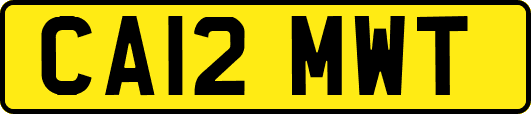 CA12MWT