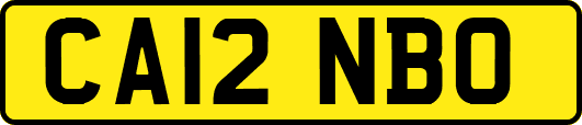 CA12NBO