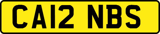 CA12NBS