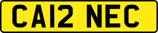 CA12NEC