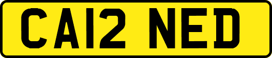 CA12NED