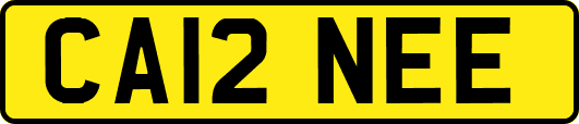 CA12NEE