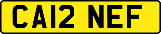 CA12NEF