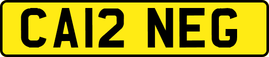 CA12NEG