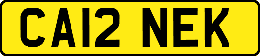 CA12NEK