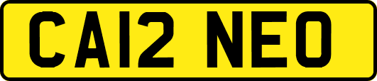 CA12NEO