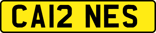 CA12NES