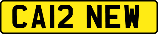 CA12NEW