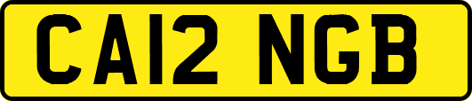 CA12NGB