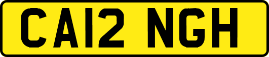 CA12NGH