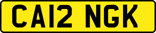 CA12NGK