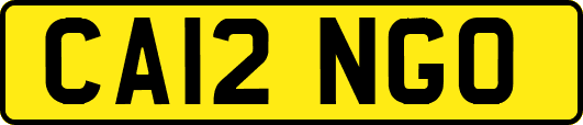 CA12NGO