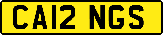CA12NGS