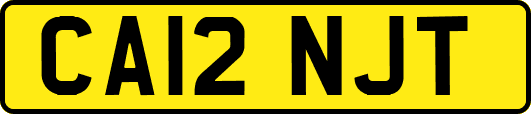 CA12NJT