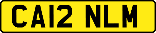 CA12NLM